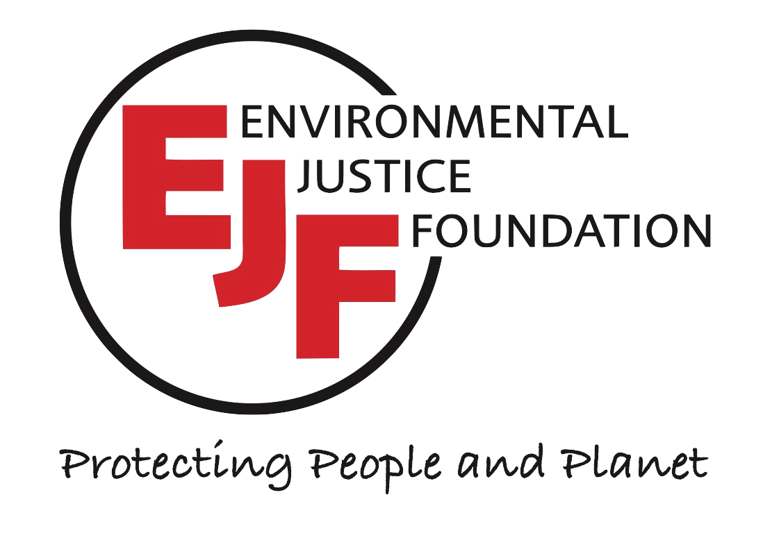 Net Free Seas Community Coordinator